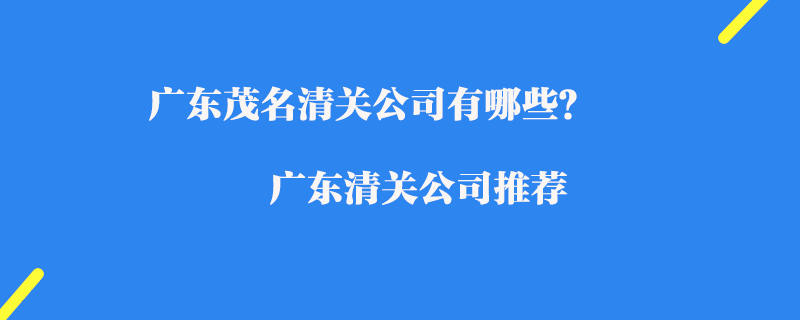 廣東茂名清關公司有哪些？廣東清關公司推薦