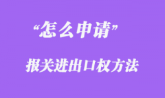 報關進出口權怎么申請