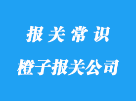 上海進口橙子報關(guān)公司:南非等國家橙子清關(guān)注意事項